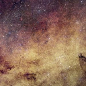 This view of the heart of the Milky Way Galaxy features dense yellow clouds and millions of stars.