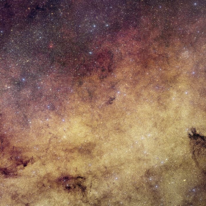 Euclid Sees Heart of Milky Way