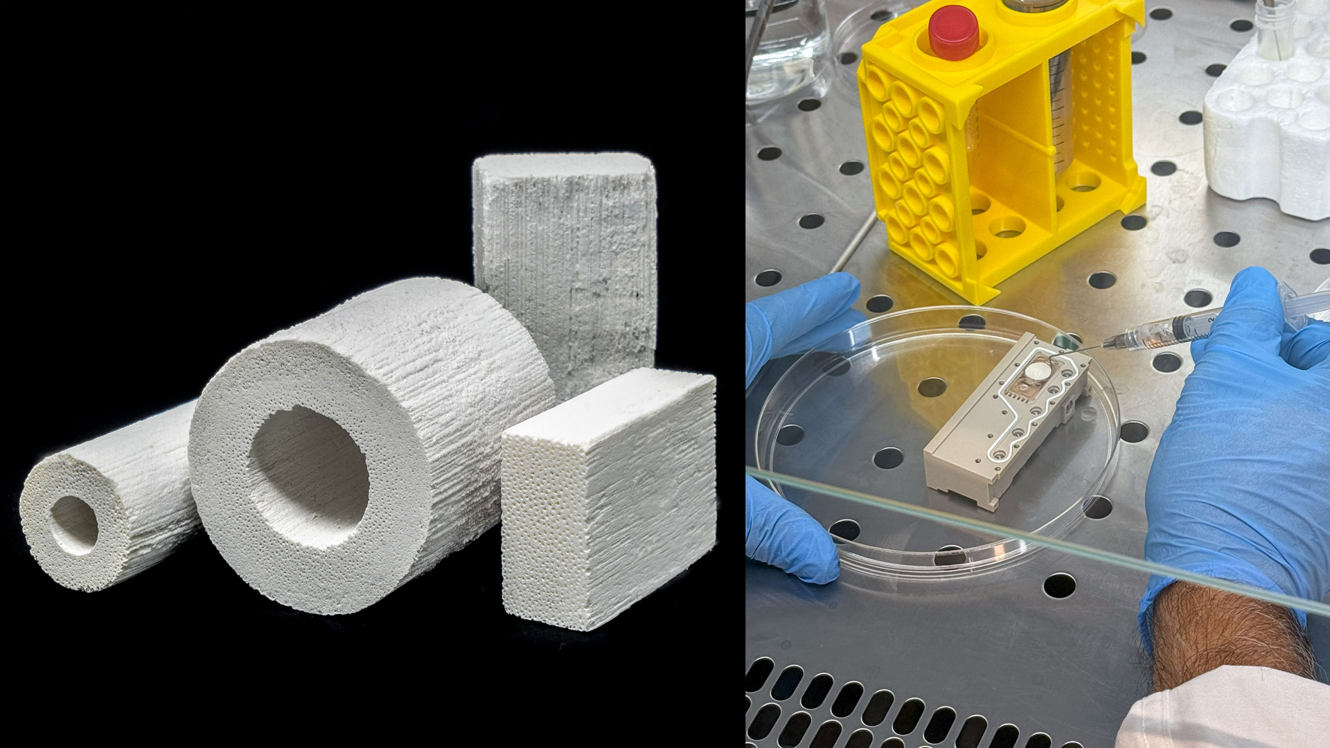 A composite made up of two images. The left image shows four white structures – two cylinders of different diameters and two blocks of different lengths. The right image shows a grey metallic surface with a rectangular device resting on a round petri dish. A pair of hands wearing blue latex gloves are within the frame; the left hand holds the petri dish and the right hand injects a substance into the rectangular device.