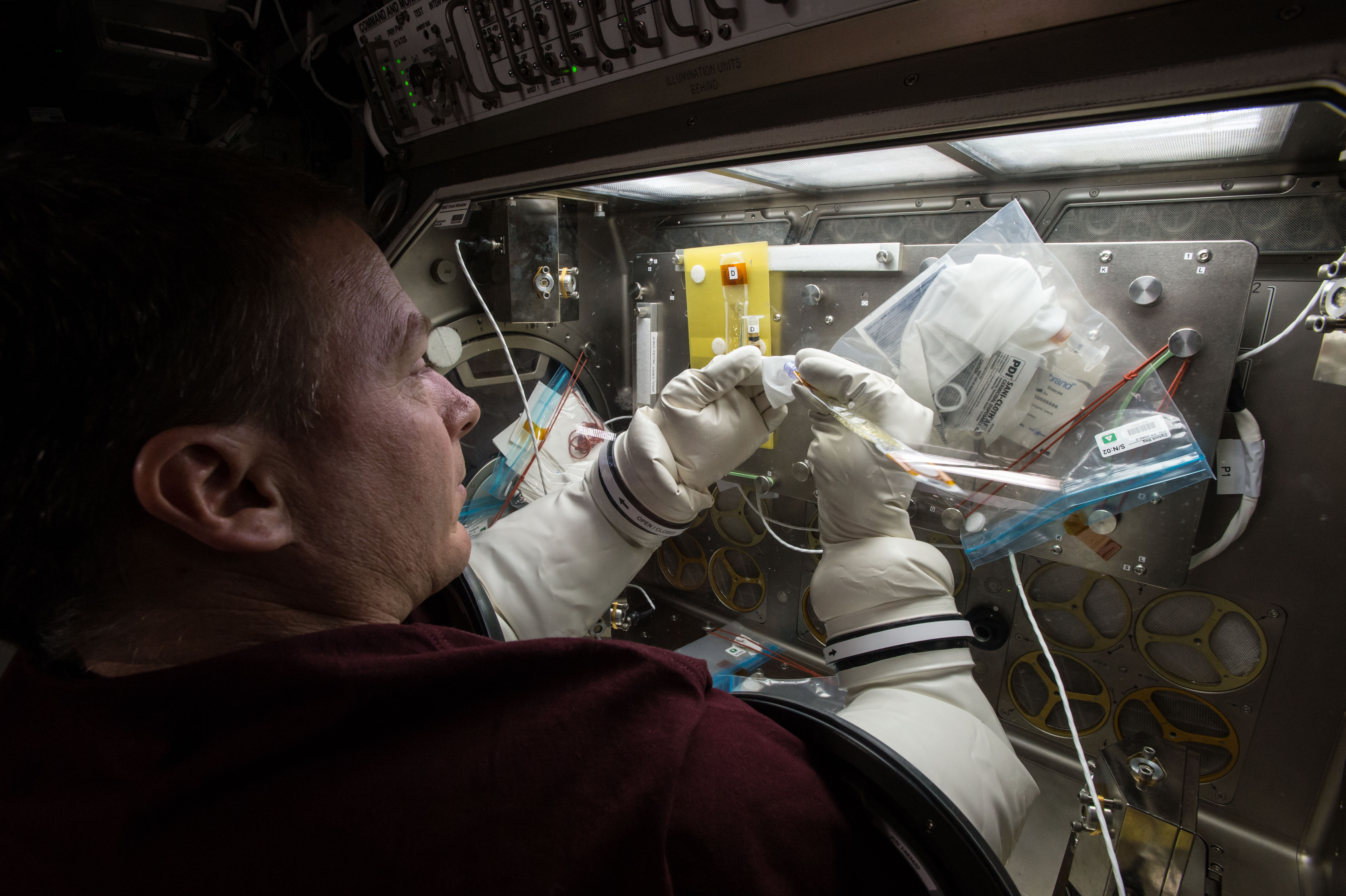 Astronaut Terry Virts works on the Micro-5 investigation inside the Microgravity Science Glovebox (MSG) aboard the International Space Station.