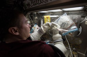 Astronaut Terry Virts works on the Micro-5 investigation inside the Microgravity Science Glovebox (MSG) aboard the International Space Station.