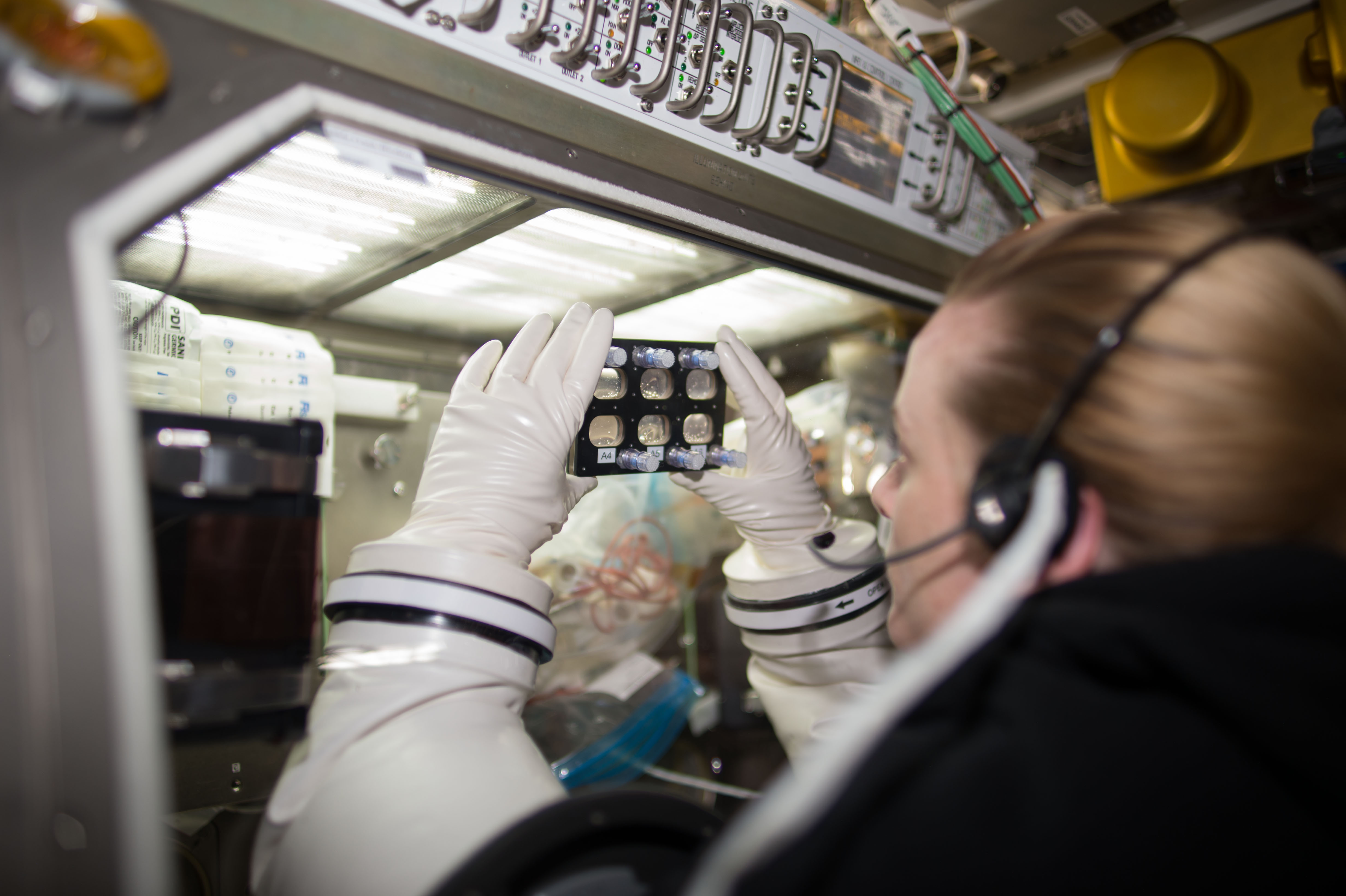 Astronaut Kate Rubins changes media on the Heart Cells investigation housed in the Microgravity Science Glovebox (MSG) aboard the International Space Station.