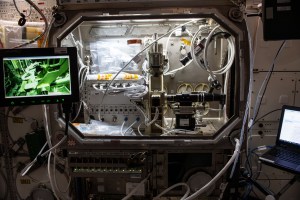 The Microgravity Science Glovebox (MSG) aboard the International Space Station, holds Ring Sheared Drop.