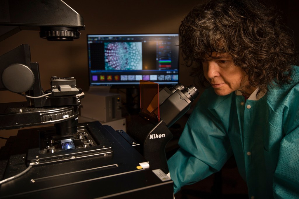 Viewing samples on microscope in Microgravity Simulation Lab