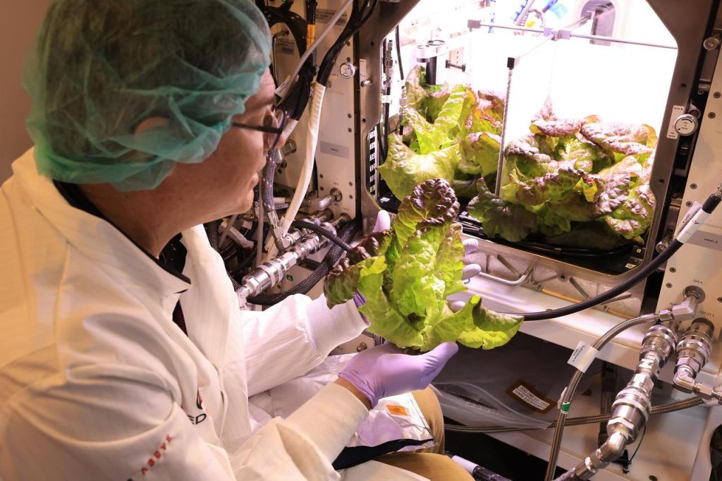 Plant Processing Area (PPA) cover photo