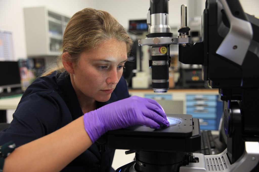 Optical inspection during data analysis 