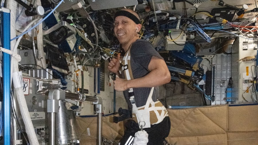 NASA astronaut and Expedition 74 flight engineer Chris Williams jogs while strapped to the treadmill inside the International Space Station's Tranquility module. The treadmill, formally known as COLBERT (Combined Operational Load-Bearing External Resistance Treadmill), is specifically designed to enable jogging and maintain cardiovascular health in microgravity. Williams is wearing a heart-rate monitor that uses Bluetooth to transmit his cardiac data to a computer tablet for analysis by doctors on Earth.