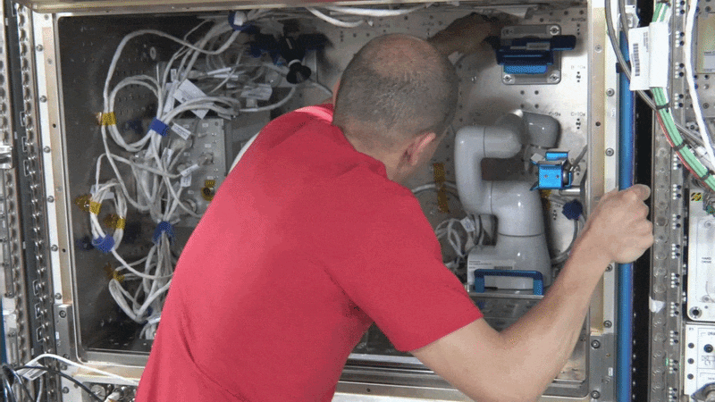 A video shows NASA astronaut Chris Williams working on hardware inside a rectangular space. Facing away from the camera, Williams makes small adjustments to the experiment, which consists of two white robotic arms. There are many white cables on the inside of the compartment.