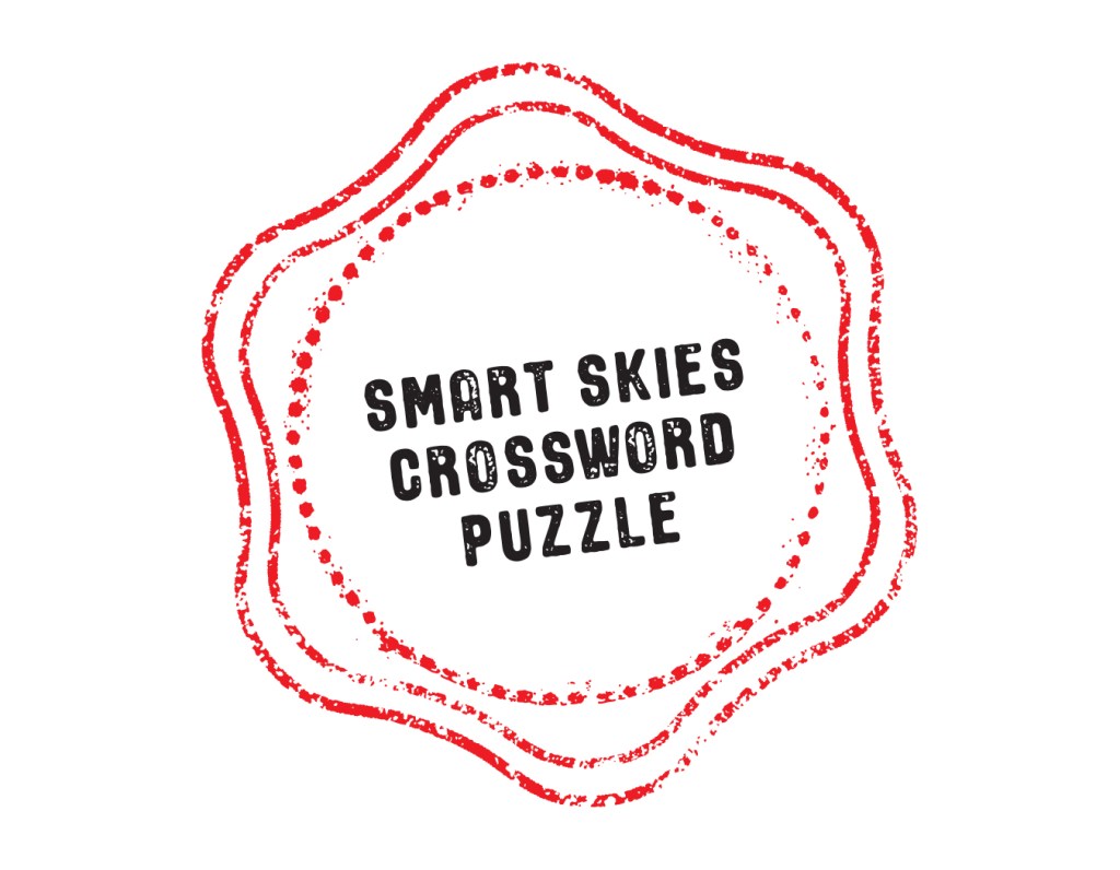Smart Skies Crossword Puzzle Stamp