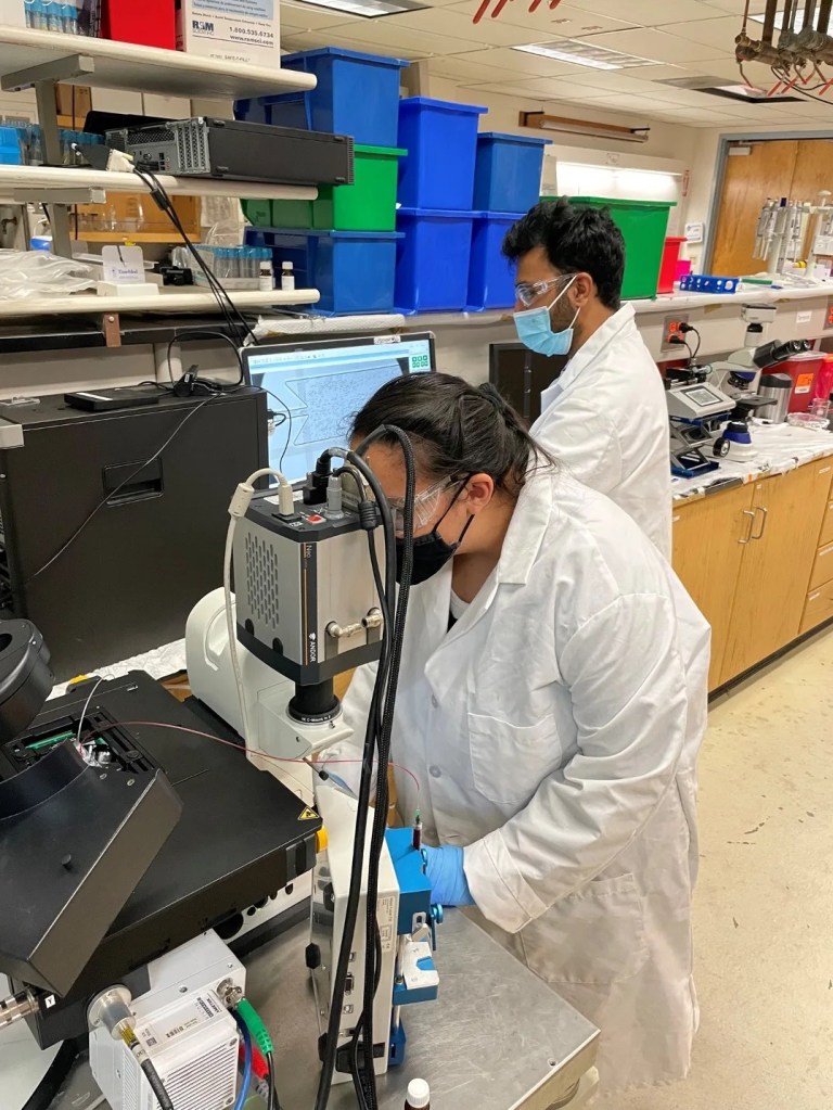 Z-na Sanchez (L) and Vignesha Vijayananda (R) observing blood flow patterns in Dr. Anand Ramasubramanian’s Lab at San Jose State University. (Image credit: Ramasubramanian Lab, SJSU