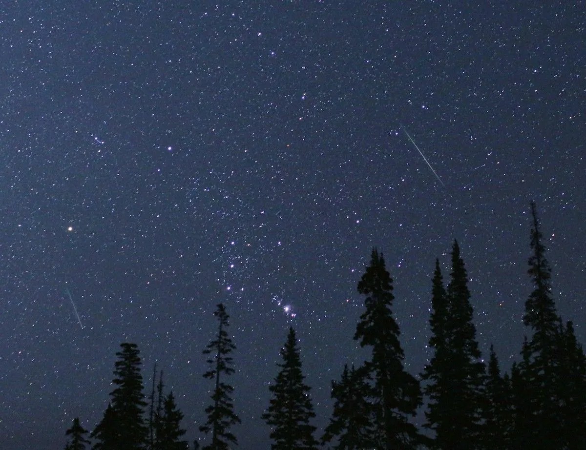 The night sky is filled with stars. Looking toward the bottom left and top right, two streaks are visible. These are meteors. Between the two streaks is the constellation Orion. The bottom of the image is lined with the silhouette of treetops.