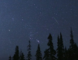 The night sky is filled with stars. Looking toward the bottom left and top right, two streaks are visible. These are meteors. Between the two streaks is the constellation Orion. The bottom of the image is lined with the silhouette of treetops.