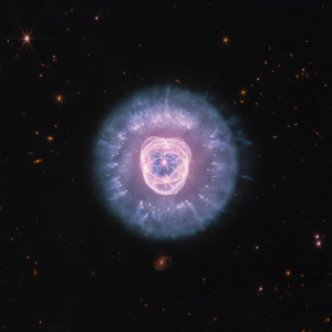 JWST’s Near Infrared Camera and Mid Infrared Instrument combined image of planetary nebula NGC 2392, the Lion Nebula, against the black background of space. The nebula is at center, circular in shape, and looks like a male lion’s head. In the center is a small, pinkish-white circle with eight-point diffraction spikes, a white dwarf star. Surrounding the star are purple-pink cavernous bubbles and shell-like rings. The bubbles and shells collectively form an oval with two small, wide arcs near the top, reminiscent of a lion’s face and its ears. What appears to be extended outward from the lion’s face is a thick ring of purple-blue material. The width of the ring is consistent throughout and resembles a mane. The area closest to the lion’s face looks cloudy, while the edges of the mane look like there are clumps of dust with comet-like tails. In the background are distant galaxies and stars. Some galaxies are yellow and orange points of light and others have spiral structures. Some stars have diffraction spikes.