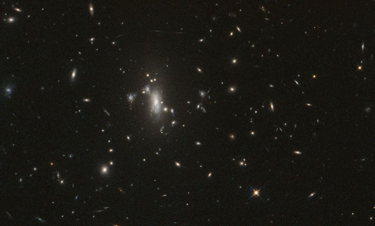 NASA’s Hubble Telescope Reaches Milestone, Looks for Elusive Supernova
