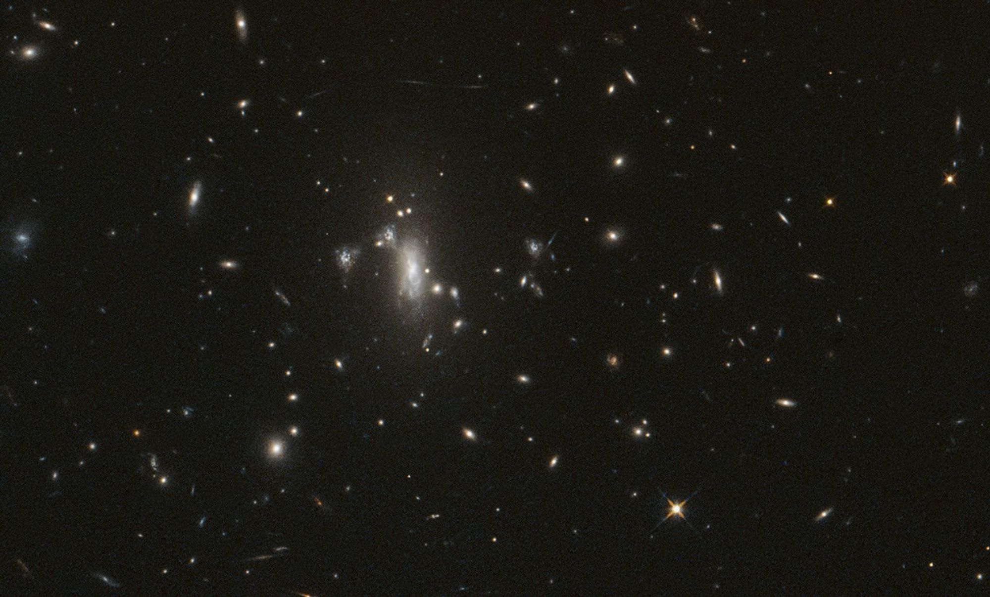 NASA’s Hubble Telescope Reaches Milestone, Looks for Elusive Supernova
