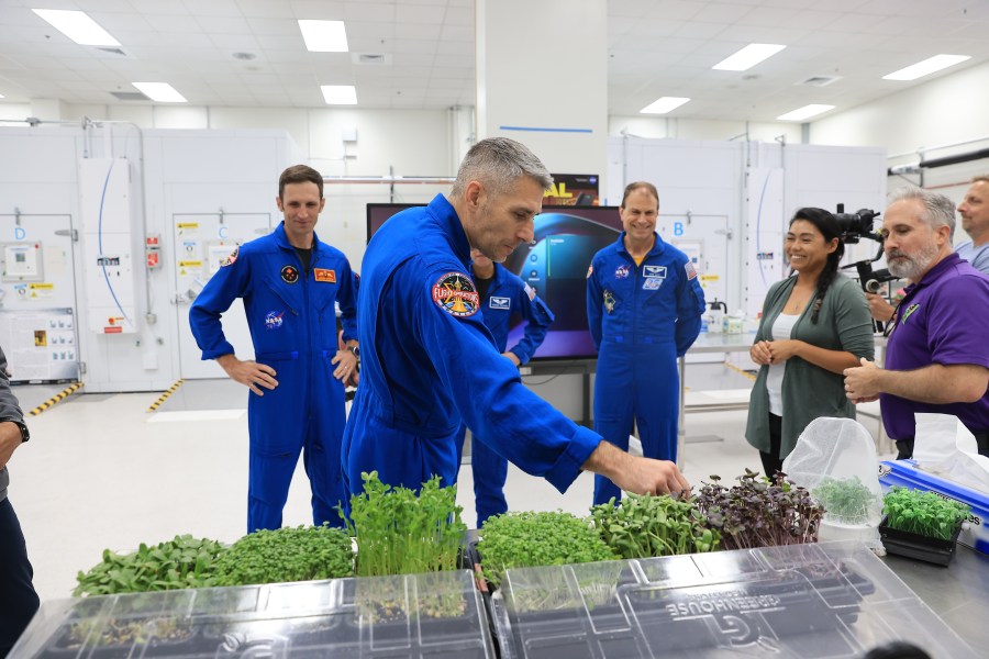 Astronauts in blue suits in a lab with others sampling microgreens.