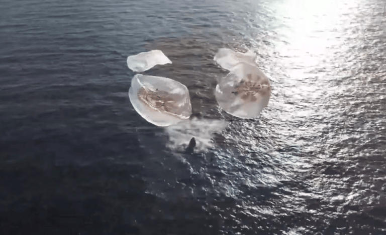 https://www.nasa.gov/wp-content/uploads/2026/10/splashdown.png?resize=768,469