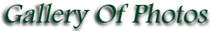 Gallery of Photos