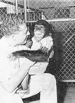 Ham the chimp with care taker