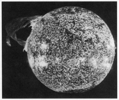 Photo of the sun taken from Skylab. Light and dark spots make the surface appear like the skin of an orange.