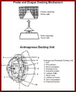  Androgynous Docking Unit on ODS 