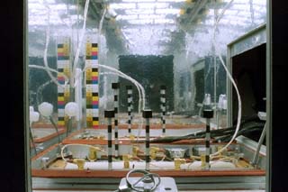 Interior view greenhouse onboard Mir (Svet).