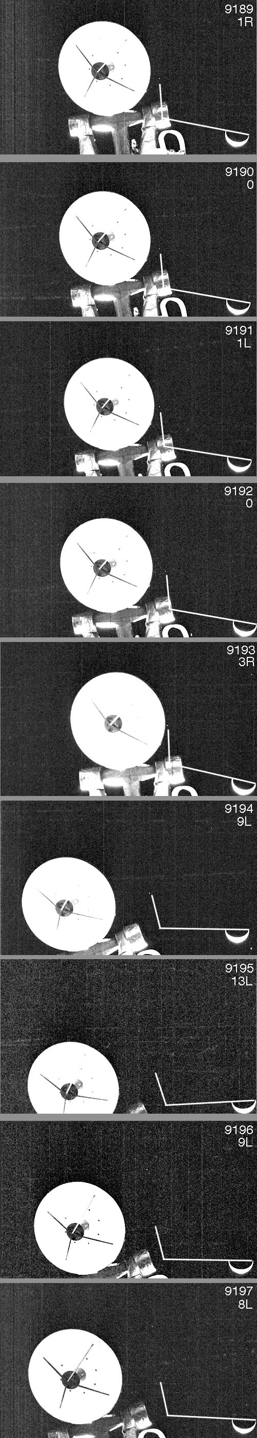 Venus in 9189 to 9197