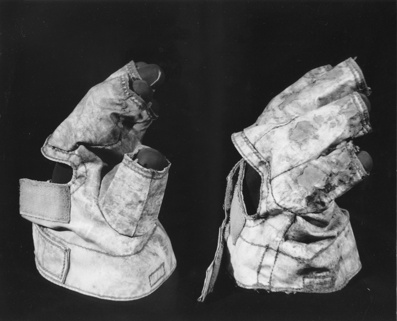 Cernan Cover Gloves (Part and Serial Numbers)
