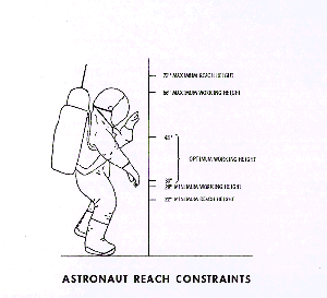 Labeled Diagram of the Astronaut Reach Constraints