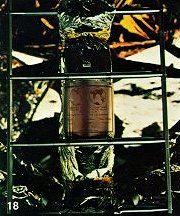 the LM ladder with plaque 