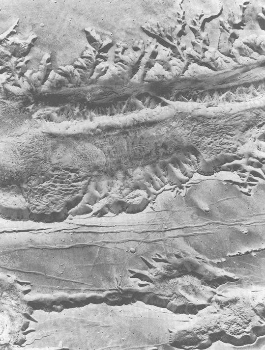 Figure 9-7C. 