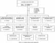 Figure 1.0.1. Accident Analysis Team Organization.