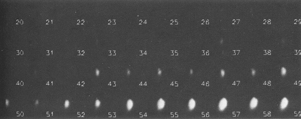Figure 48. Flame Seen From Camera E207 Frames 20 to 59 With All Background Data Electronically Deleted.