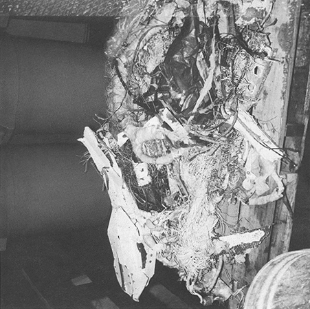 Photograph 7. Unburned or Unscorched Debris from Payload Bay.