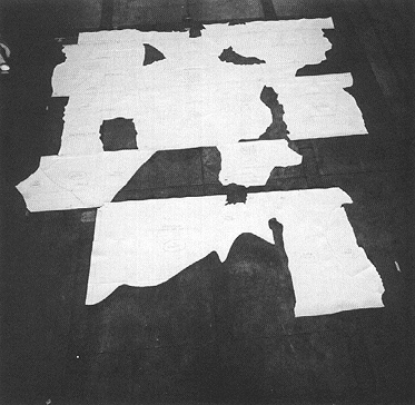 Photograph 1. Full-size Templates of Right SRM Pieces. Note SSC Nos. 131 and 712 at Center of Photograph.