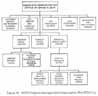 Figure 16. NSTS Program Management Organization Chart (Pre-STS 51-L)